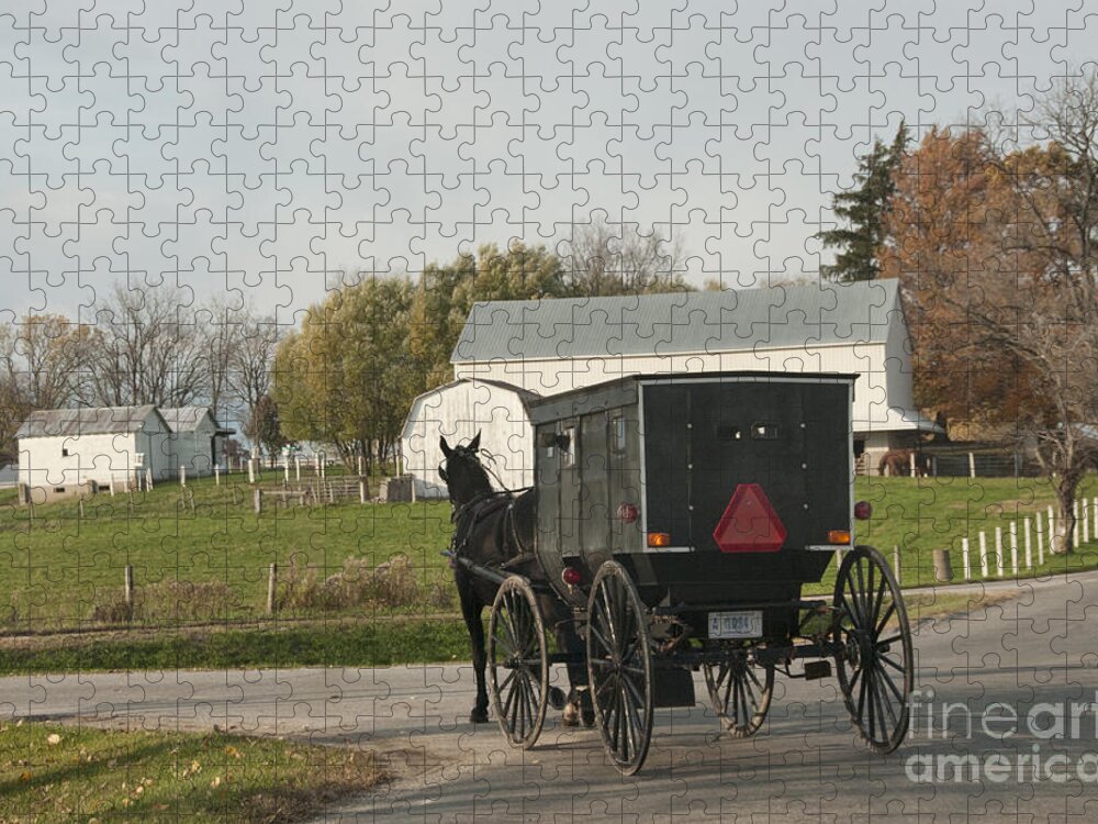 Amish Jigsaw Puzzle featuring the photograph Amish Buggy #6 by David Arment