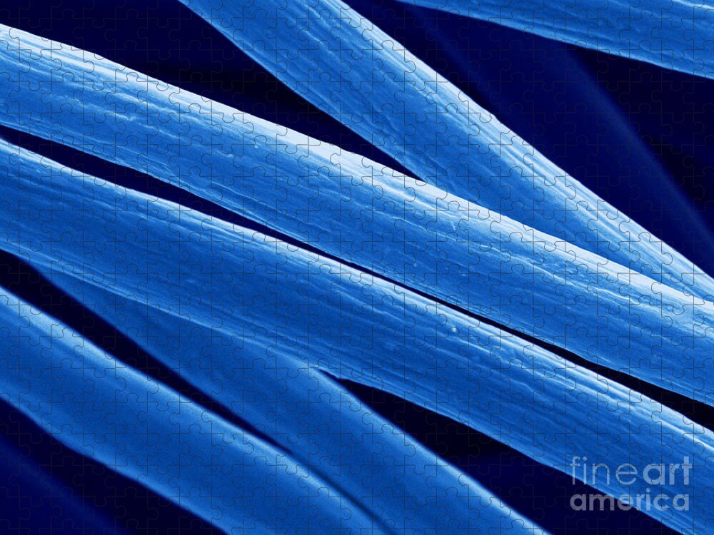 Science Jigsaw Puzzle featuring the photograph Milk Fibers, Sem #6 by Scimat