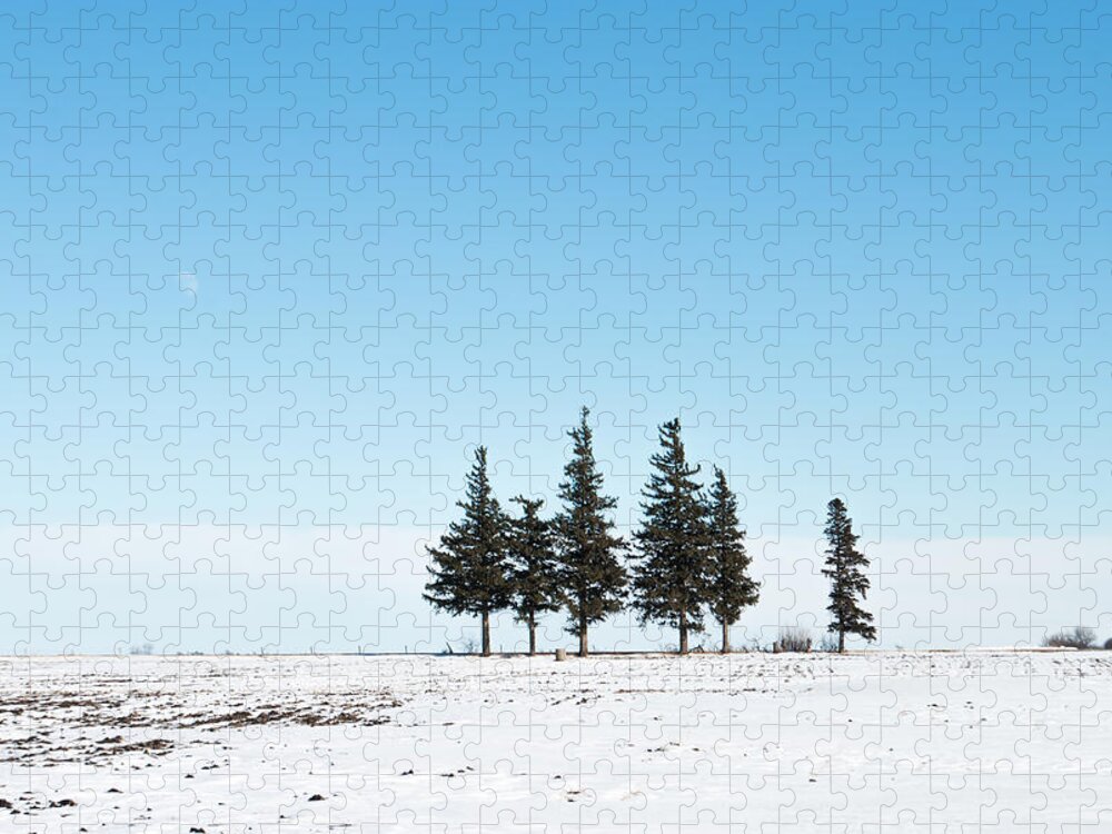 Pines Jigsaw Puzzle featuring the photograph 6 Pines And The Moon by Troy Stapek