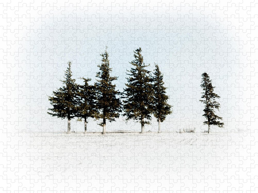 Pine Jigsaw Puzzle featuring the photograph 6 Trees by Troy Stapek