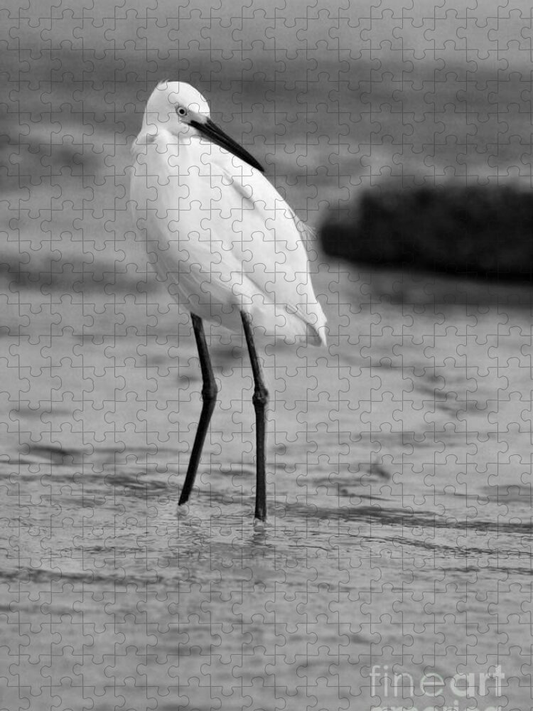  Jigsaw Puzzle featuring the photograph Egret in Black and White #7 by Angela Rath