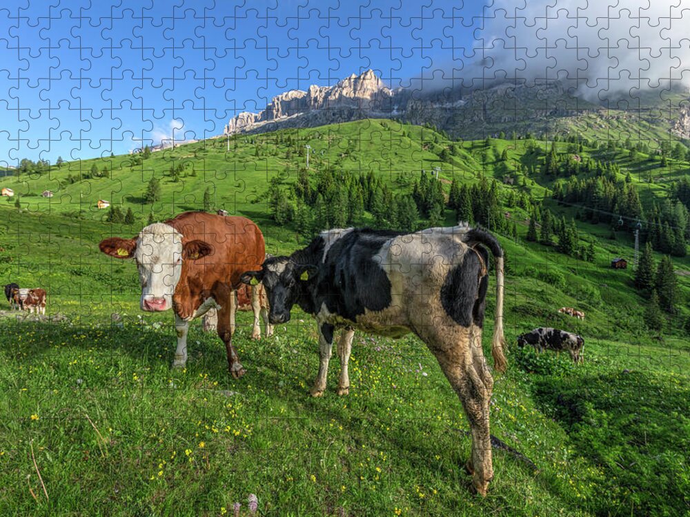 Passo Di Sella Jigsaw Puzzle featuring the photograph Passo di Sella - Dolomiti #8 by Joana Kruse