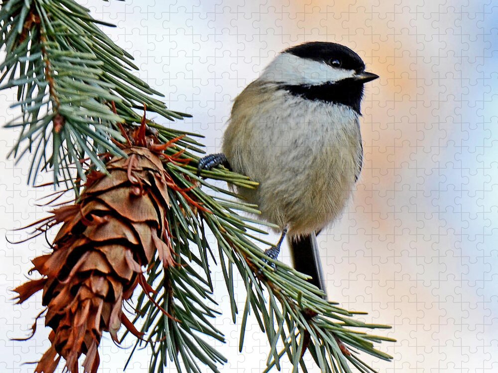 Chickadee Jigsaw Puzzle featuring the photograph A Christmas Chickadee by Rodney Campbell