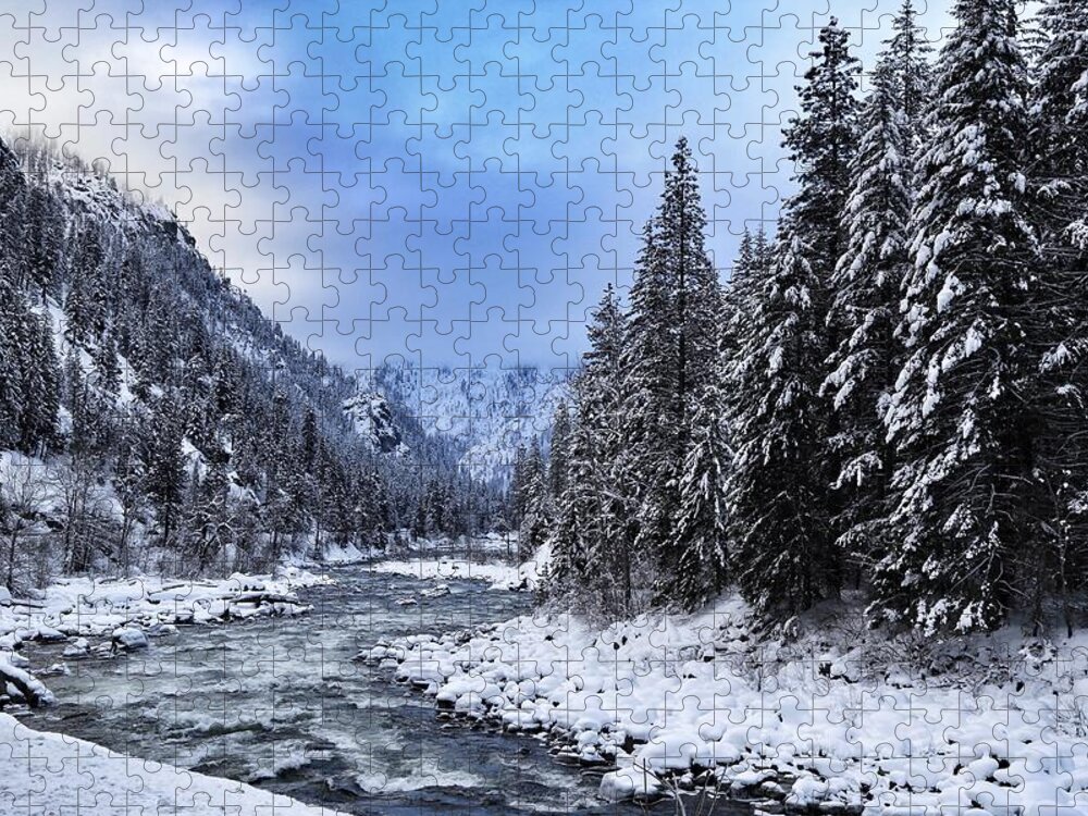 A Cold Winter Day Jigsaw Puzzle featuring the photograph A cold winter day by Lynn Hopwood