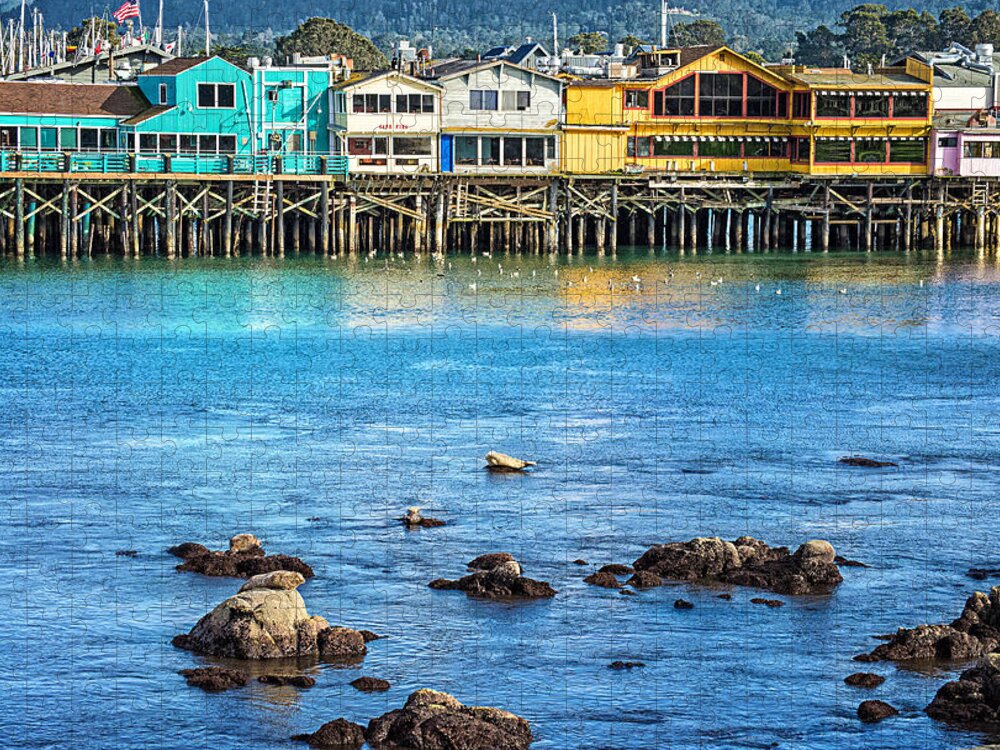 Monterey Jigsaw Puzzle featuring the photograph A Day in the Bay by Lynn Bauer