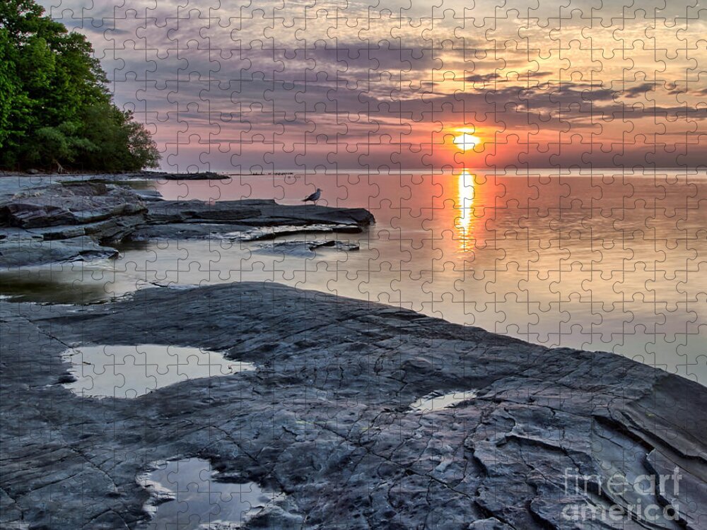 Flat Rock Jigsaw Puzzle featuring the photograph A Flat Rock Sunset with Seagull by Rod Best