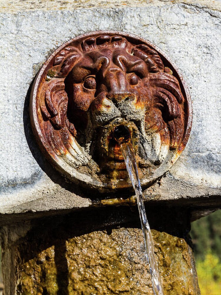 Old Fountain Jigsaw Puzzle featuring the photograph A fountain of Val des Pres - 1 by Paul MAURICE