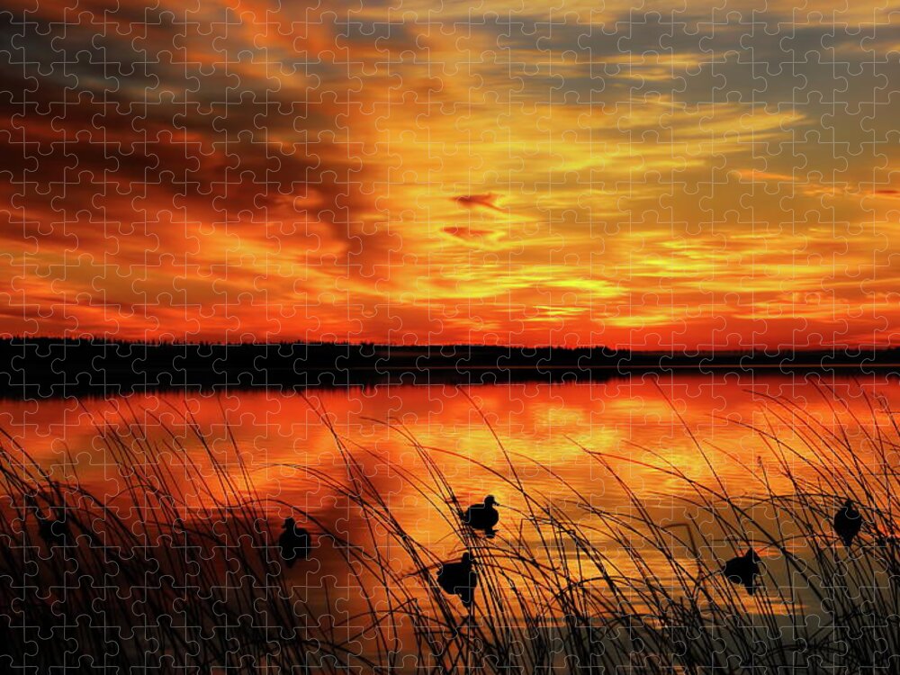 Hunt Jigsaw Puzzle featuring the photograph A Golden Sunrise Duck Hunt by Dale Kauzlaric