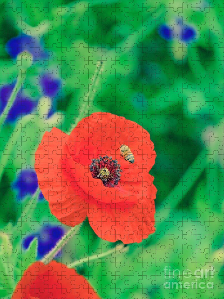 Poppy Jigsaw Puzzle featuring the photograph A Honeybee and a Poppy by Rachel Morrison