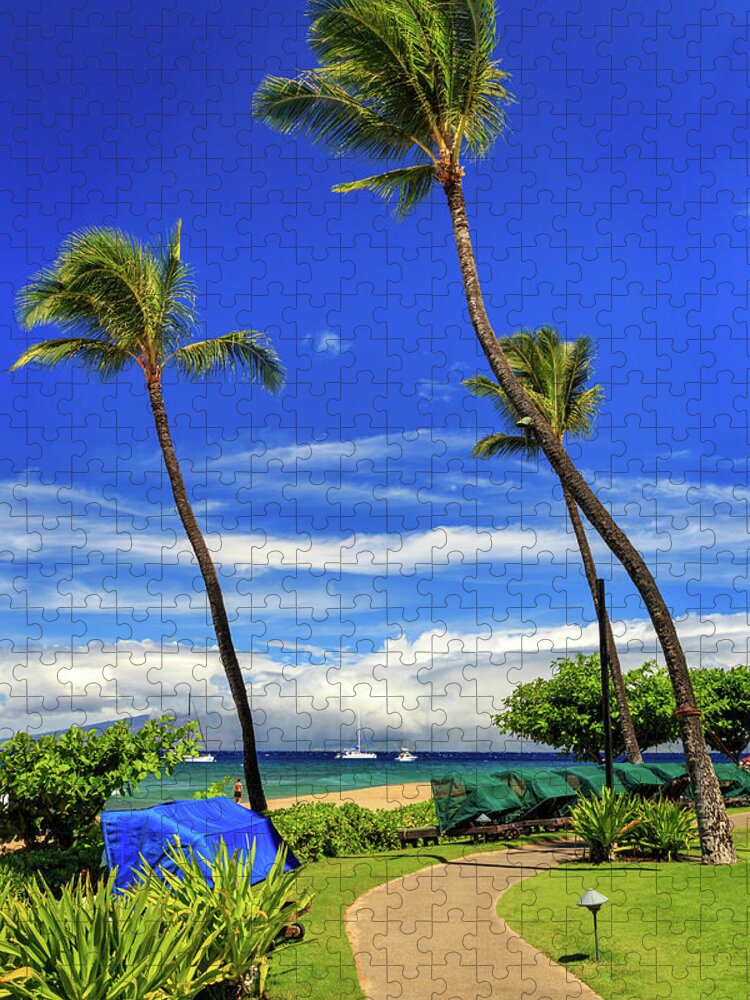 Path Jigsaw Puzzle featuring the photograph A Path In Kaanapali by James Eddy