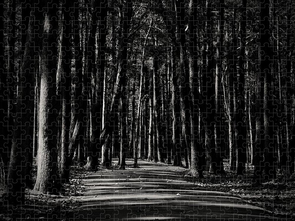 Nature Jigsaw Puzzle featuring the photograph A Path into Light and Darkness by Angie Tirado