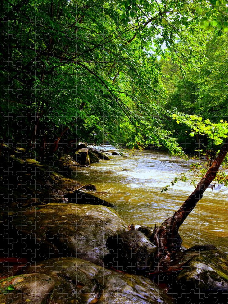 A Peaceful Place Jigsaw Puzzle featuring the photograph A Peaceful Place by Lisa Wooten