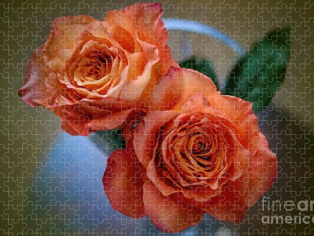 Roses Jigsaw Puzzle featuring the photograph A Peach Delight by Diana Mary Sharpton