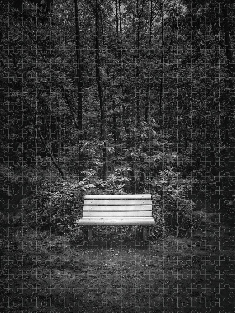 Black And White Jigsaw Puzzle featuring the photograph A Place to Sit by Scott Norris