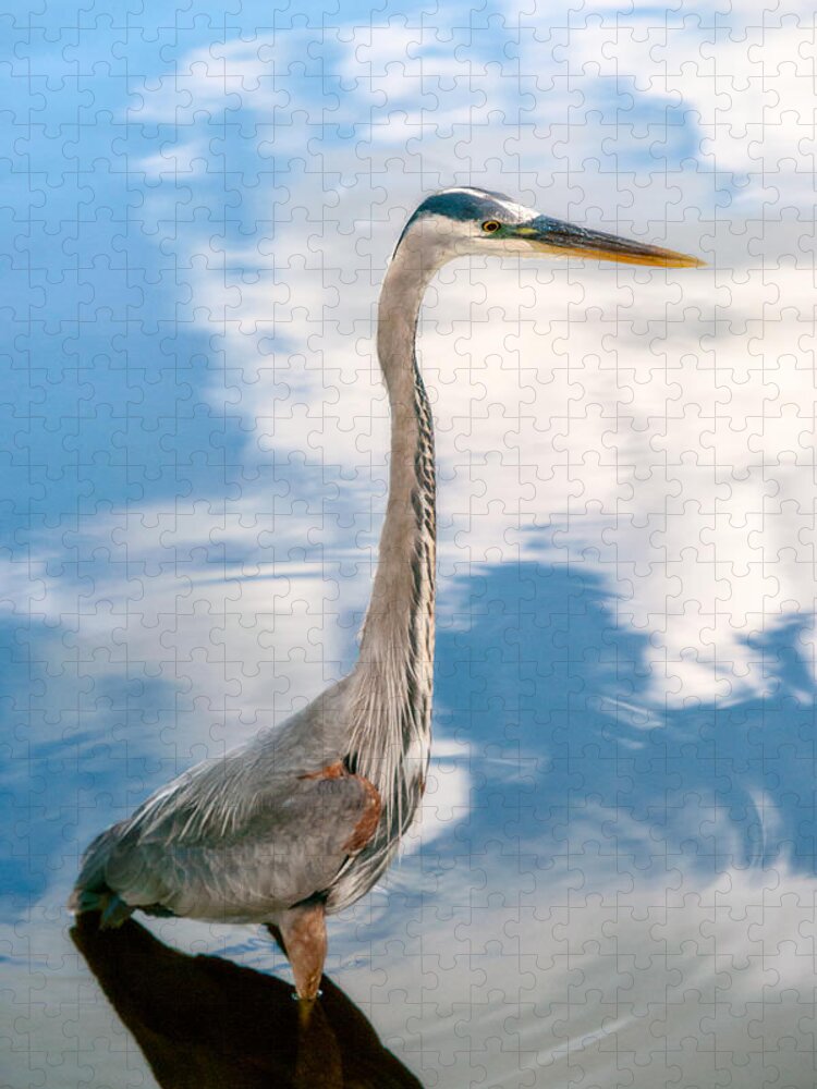 Christopher Holmes Photography Jigsaw Puzzle featuring the photograph A Stroll Among the Clouds by Christopher Holmes