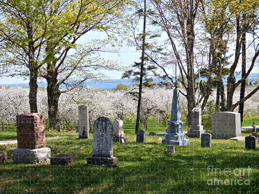 Cemetery Jigsaw Puzzle featuring the photograph A Tomb With A View by Scott Ward