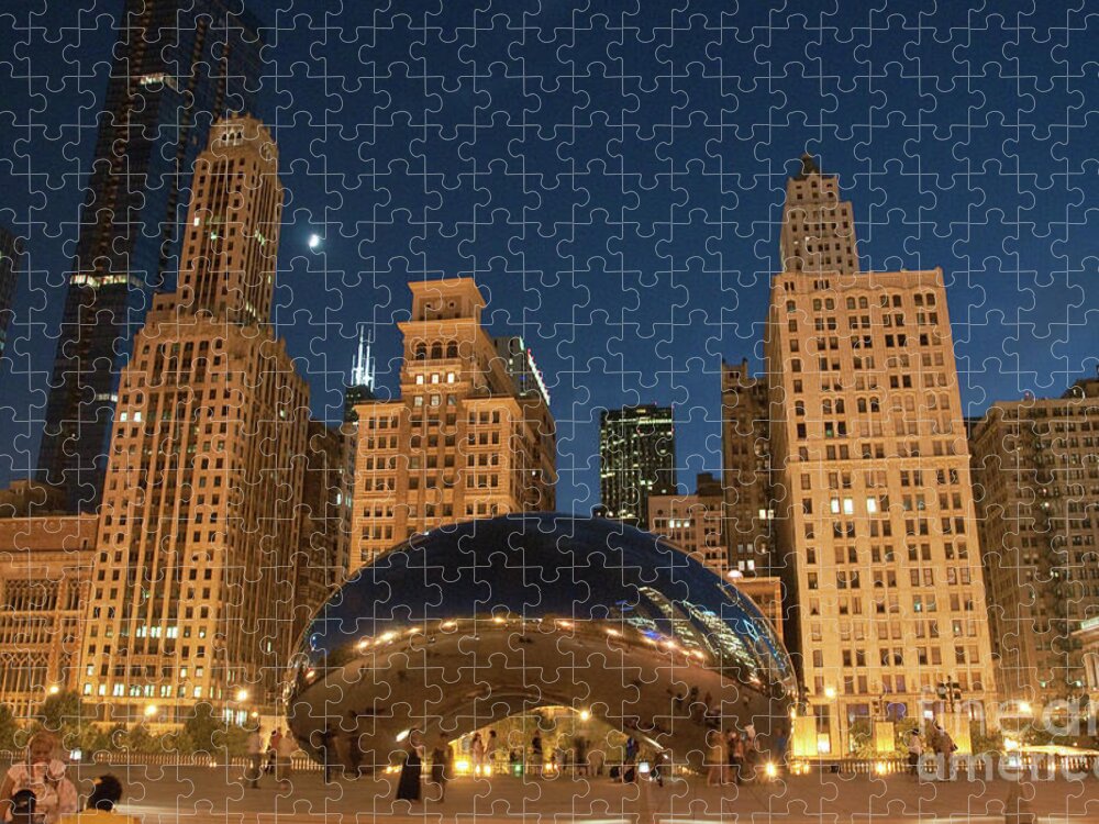 Anish Kapoor Jigsaw Puzzle featuring the photograph A View from Millenium Park at Night by David Levin
