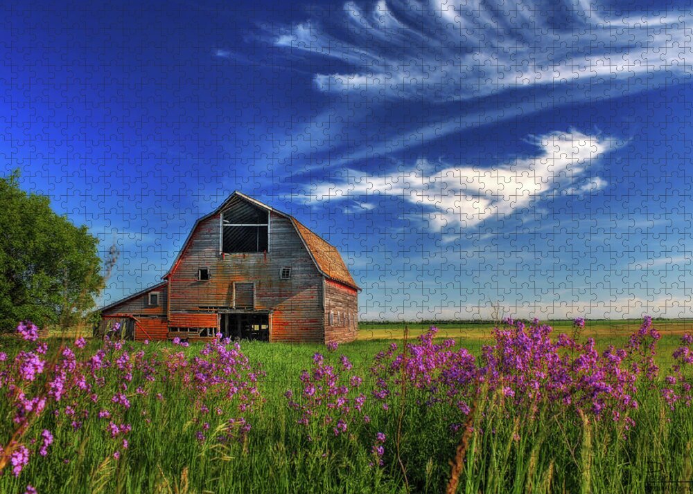 Barn Rural Abandoned Nd North Dakota Flowers Green Blue Purple Landscape Horizontal Jigsaw Puzzle featuring the photograph Abandoned Blackmore Barn #1 - Spring by Peter Herman