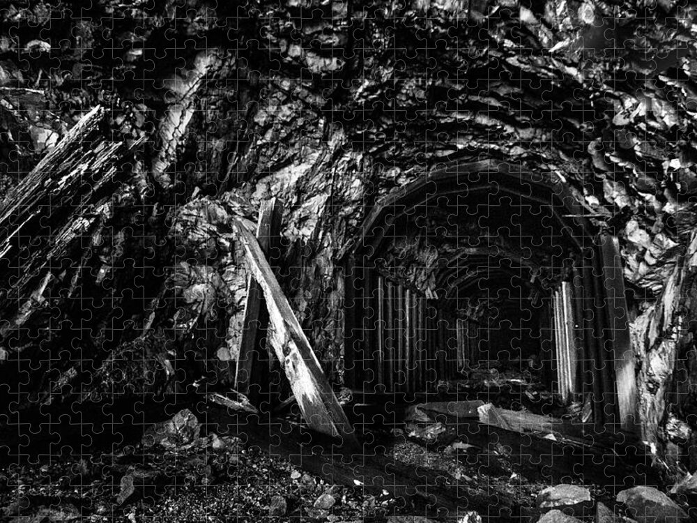 Tunnel Jigsaw Puzzle featuring the photograph Abandoned Railroad Tunnel Black and White by Pelo Blanco Photo