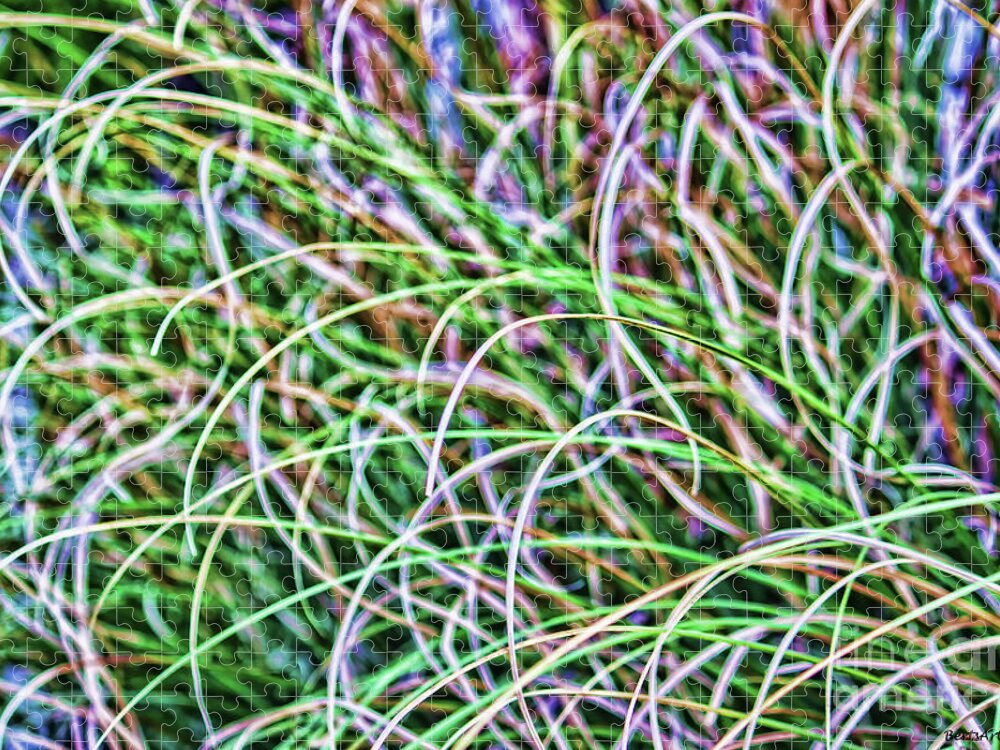Pompous Grass Jigsaw Puzzle featuring the photograph Abstract Grass by Roberta Byram