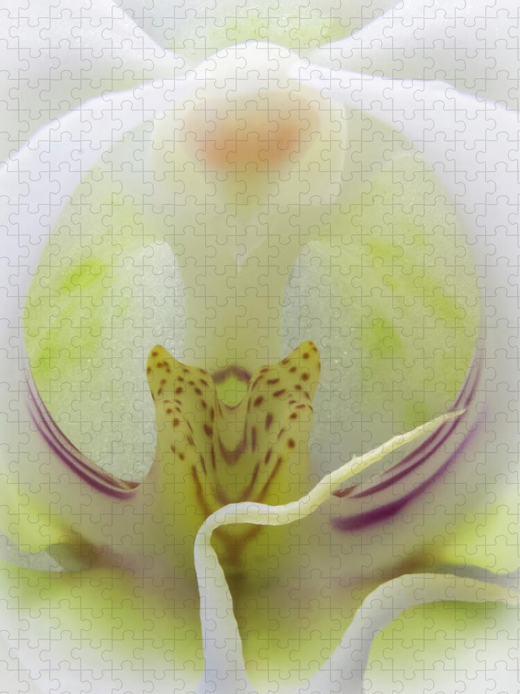 Flower Jigsaw Puzzle featuring the photograph Abstract Orchid by Patti Deters