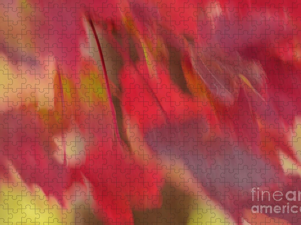 Abstract Jigsaw Puzzle featuring the photograph Abstract Red Maple Leaves by Tamara Becker