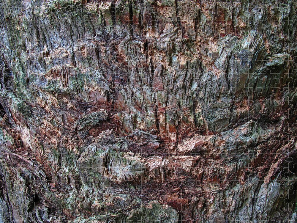 Abstract Jigsaw Puzzle featuring the photograph Abstract Tree Bark by Juergen Roth