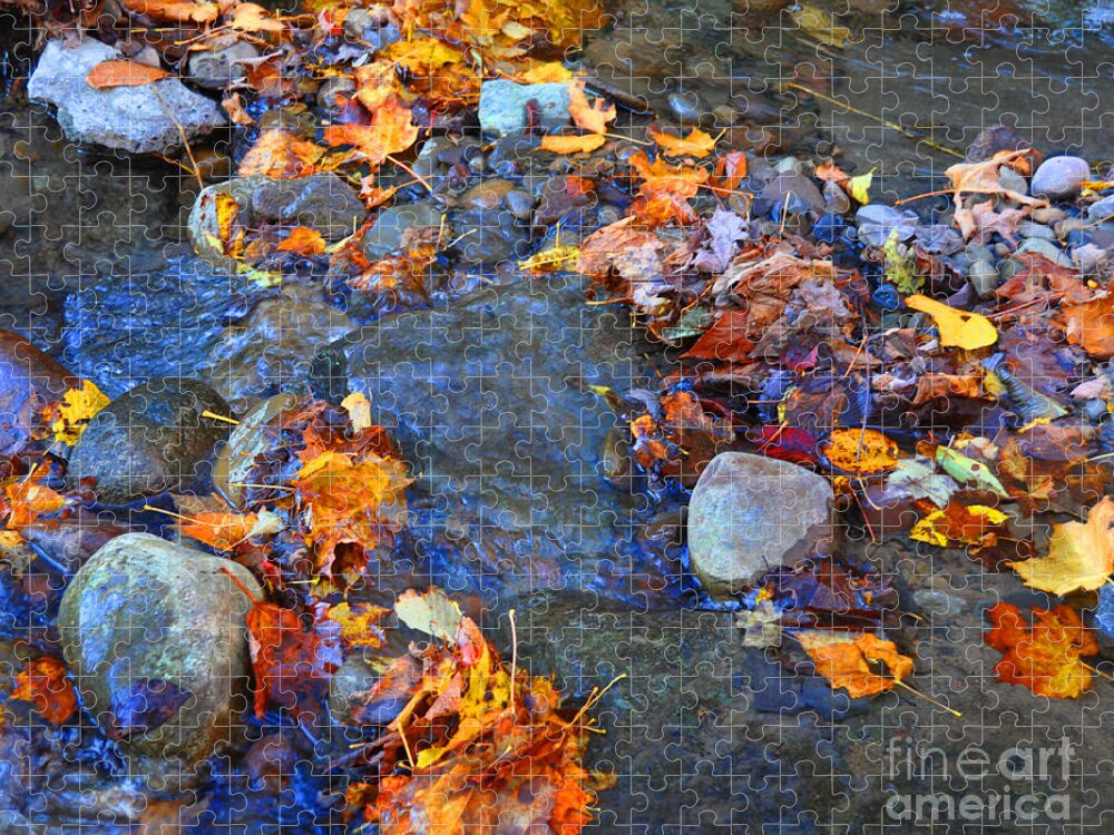 Berry Jigsaw Puzzle featuring the photograph Adirondack Autumn Stream by Diane E Berry