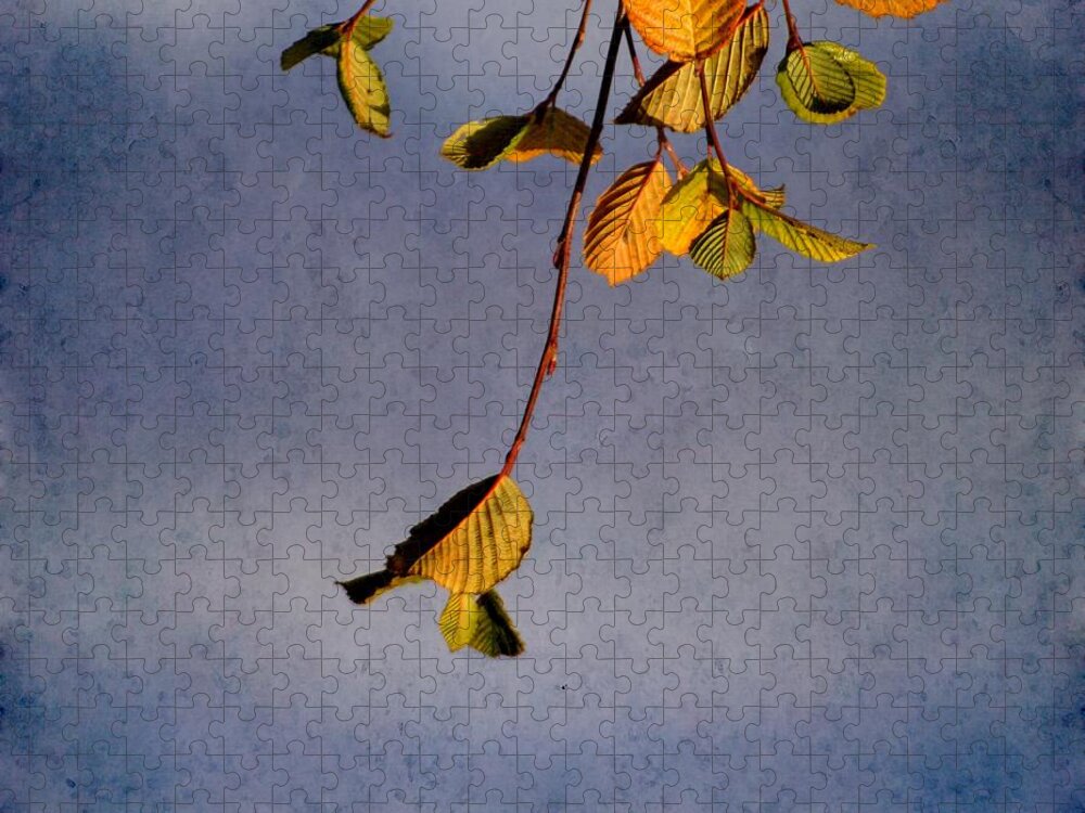 Leaves Jigsaw Puzzle featuring the photograph After Summer Leaves by Aimelle Ml