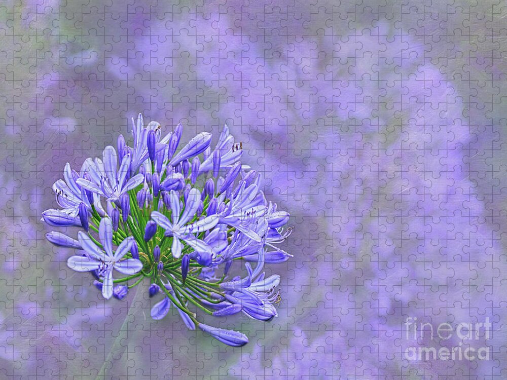 Photography Jigsaw Puzzle featuring the photograph Agapantha Lilac Pastel by Kaye Menner by Kaye Menner