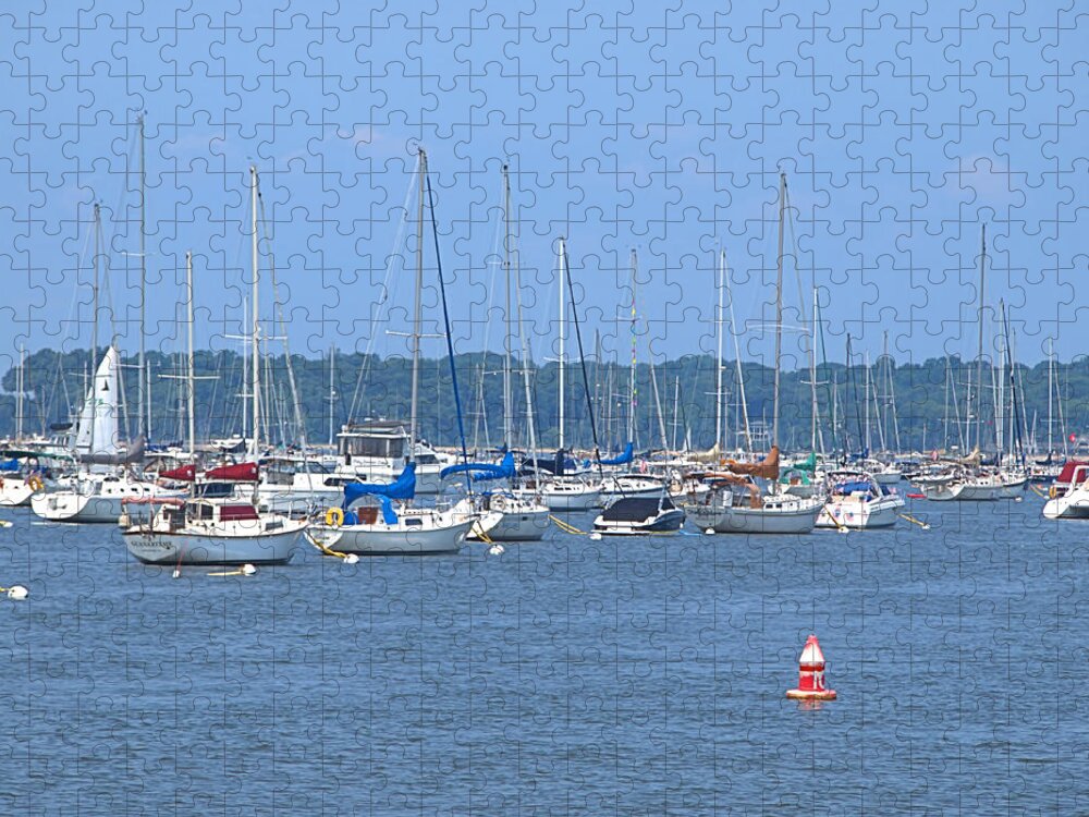 Sailboat Jigsaw Puzzle featuring the photograph All In Line by Newwwman