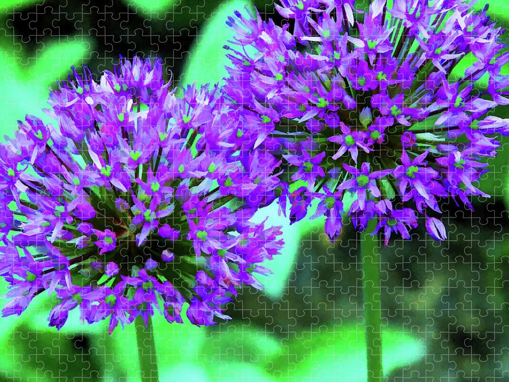 Allium Jigsaw Puzzle featuring the mixed media Allium Bulbs by Allen Beatty