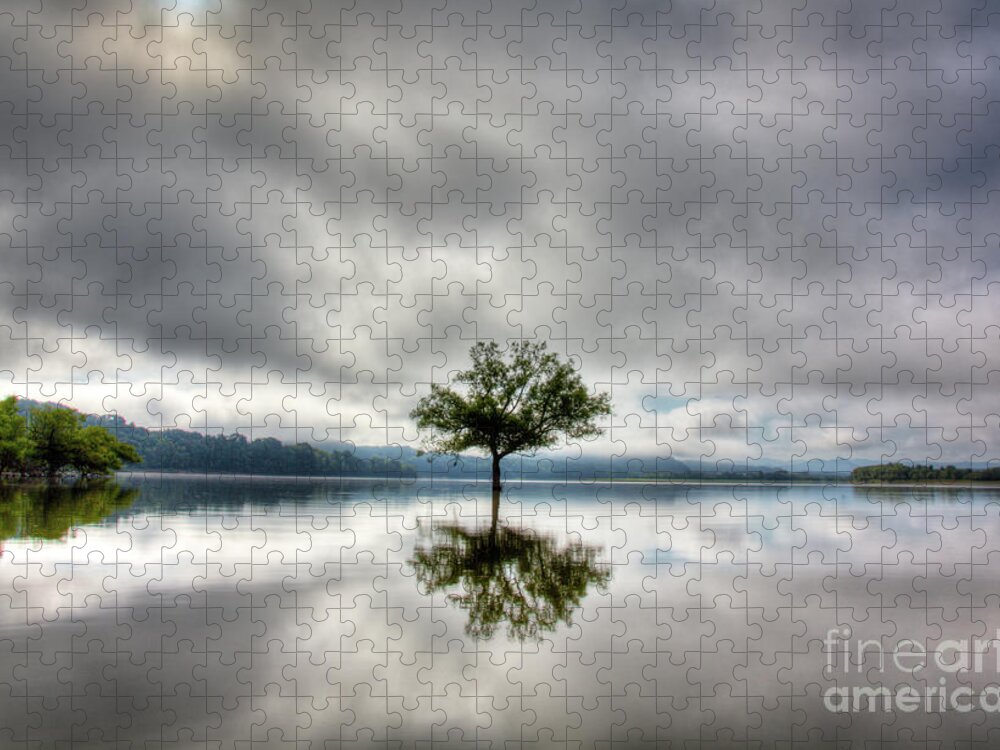 Tree Jigsaw Puzzle featuring the photograph Alone by Douglas Stucky