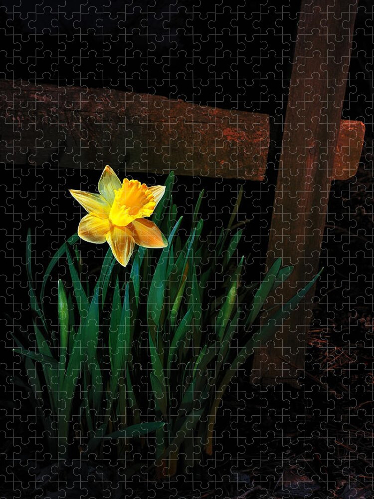 Daffodil Jigsaw Puzzle featuring the photograph Alone In The Dark by Mark Fuller
