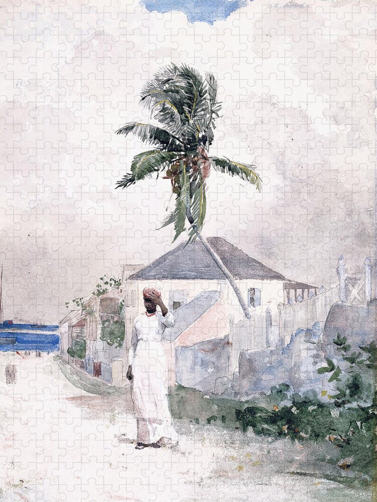 Along The Road Jigsaw Puzzle featuring the painting Along the Road  Bahamas 1885 by Winslow Homer