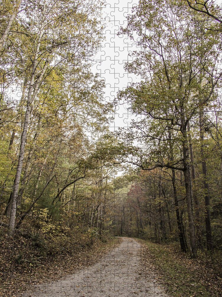 Pathway Jigsaw Puzzle featuring the photograph Along the Trail by Allen Nice-Webb