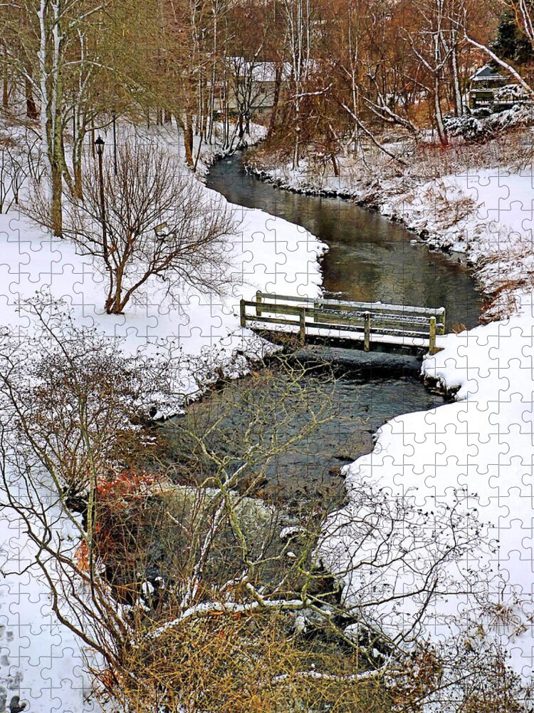 Town Brook Jigsaw Puzzle featuring the photograph Along Town Brook Plymouth MA by Janice Drew