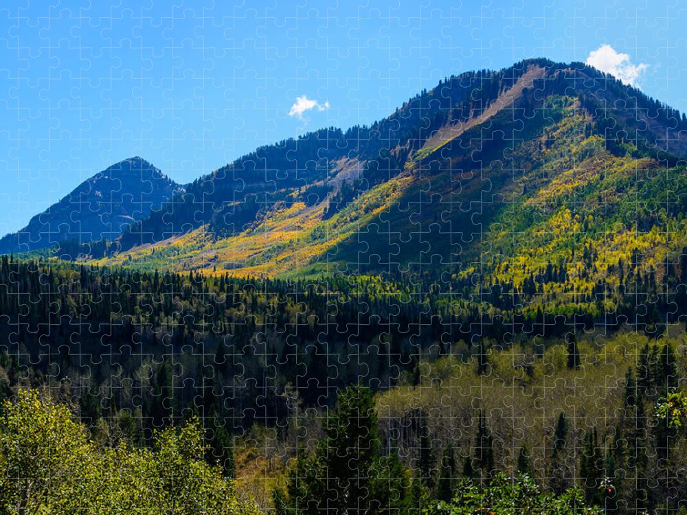 Alpine Jigsaw Puzzle featuring the photograph Alpine Vista by Tikvah's Hope
