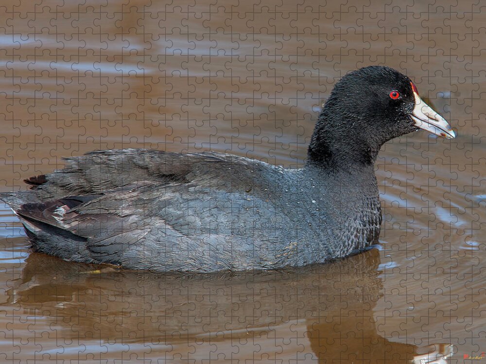 Nature Jigsaw Puzzle featuring the photograph American Coot DMSB0138 by Gerry Gantt