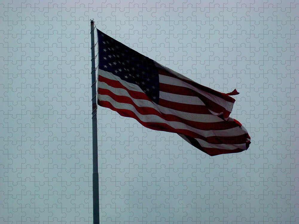 American Flag Jigsaw Puzzle featuring the photograph American Flag by Julie Pappas