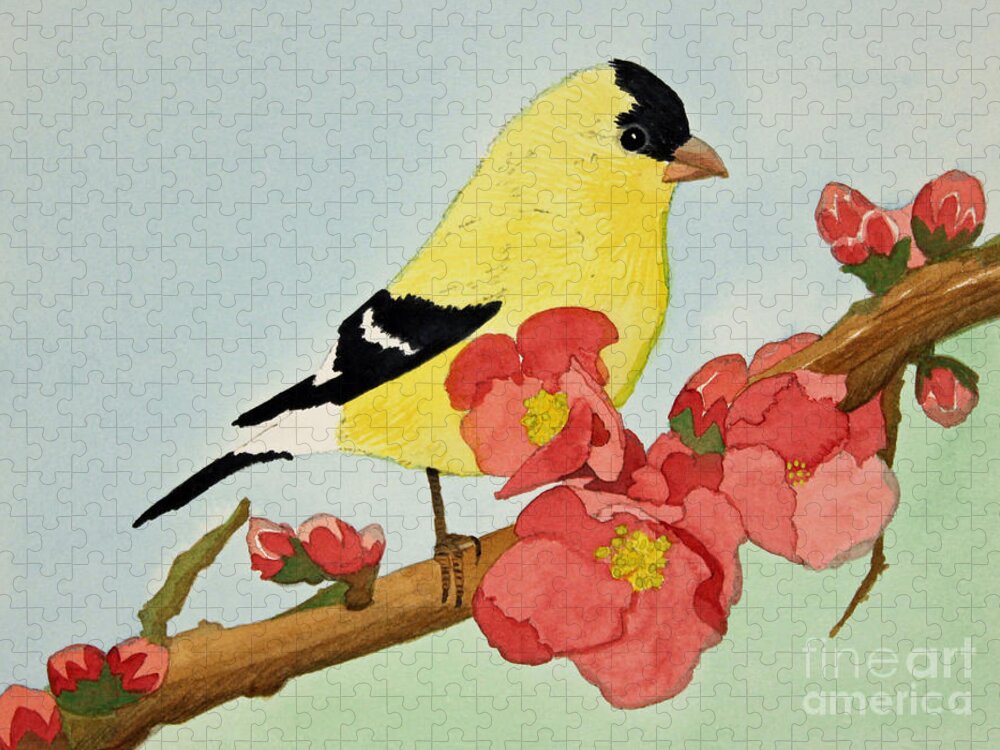Bird Jigsaw Puzzle featuring the painting American Goldfinch by Norma Appleton