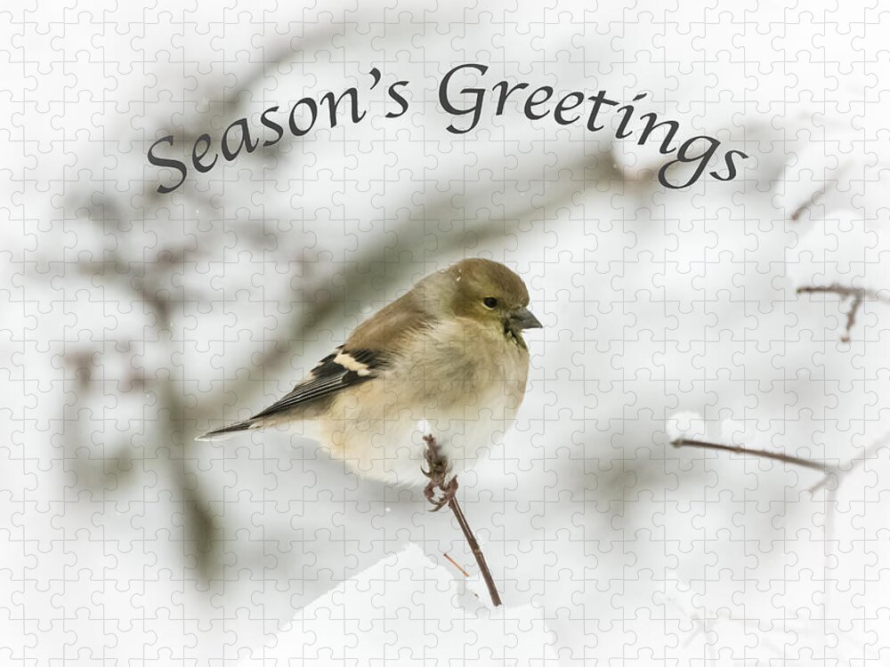 American Goldfinch Jigsaw Puzzle featuring the photograph American Goldfinch - Season's Greetings by Holden The Moment
