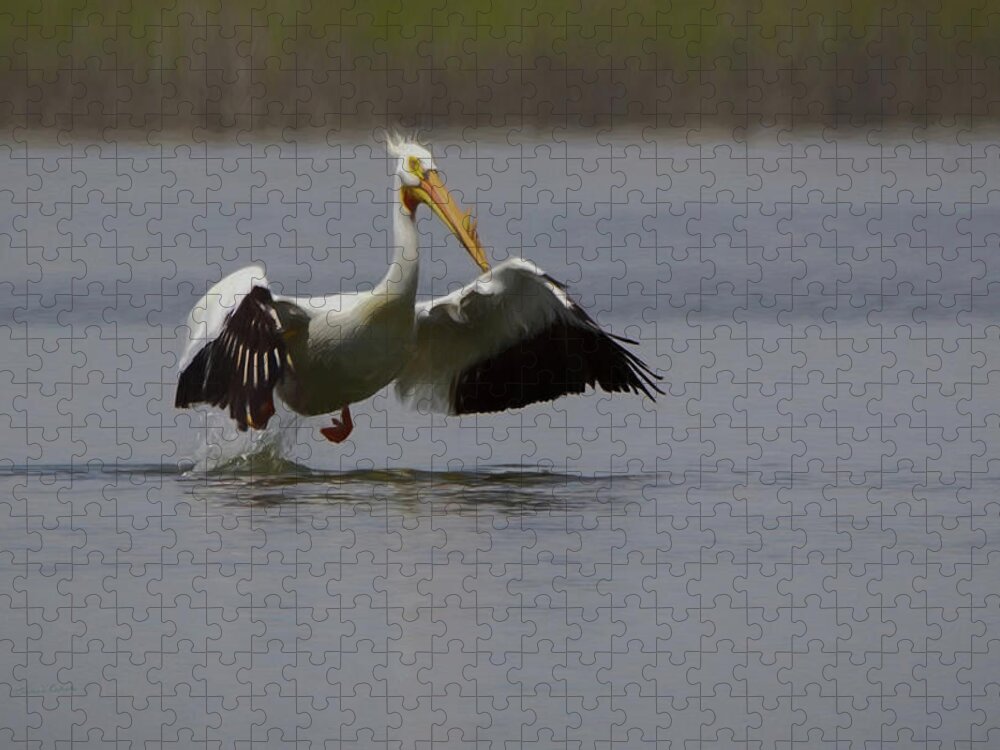 American White Pelican Jigsaw Puzzle featuring the digital art American White Pelican DA by Ernest Echols