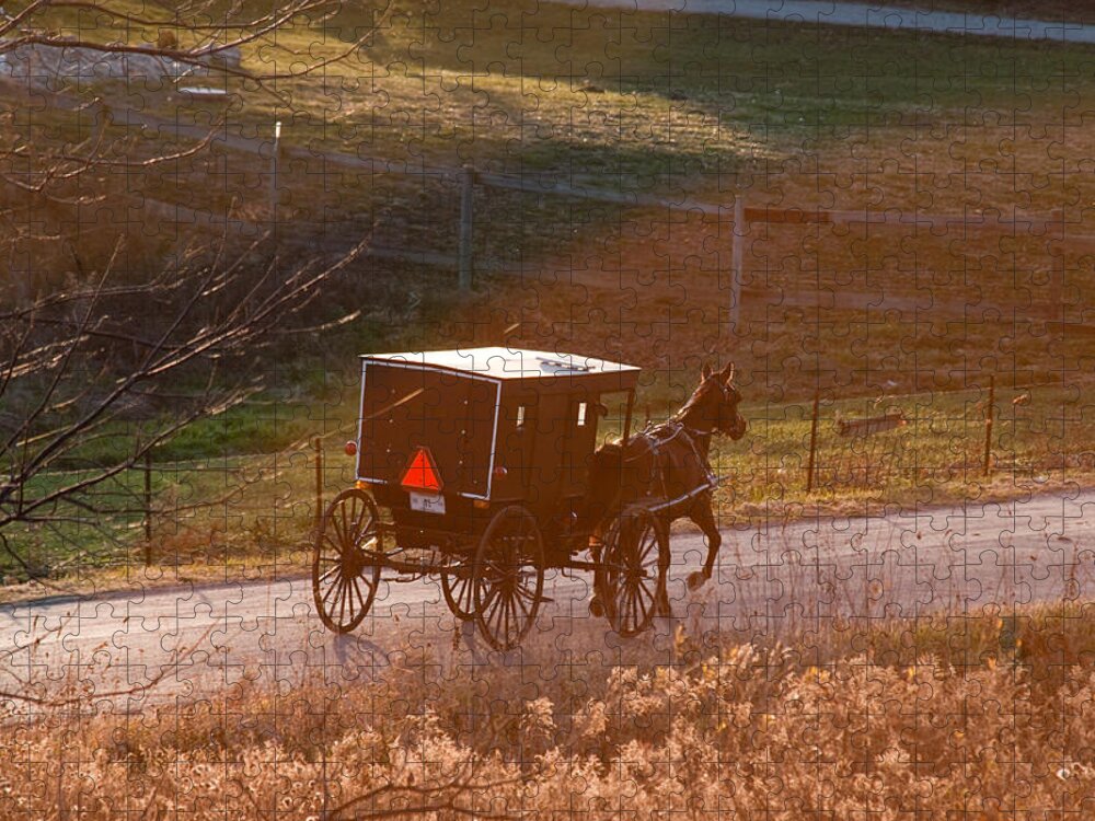 Amish Jigsaw Puzzle featuring the photograph Amish buggy afternoon sun by David Arment