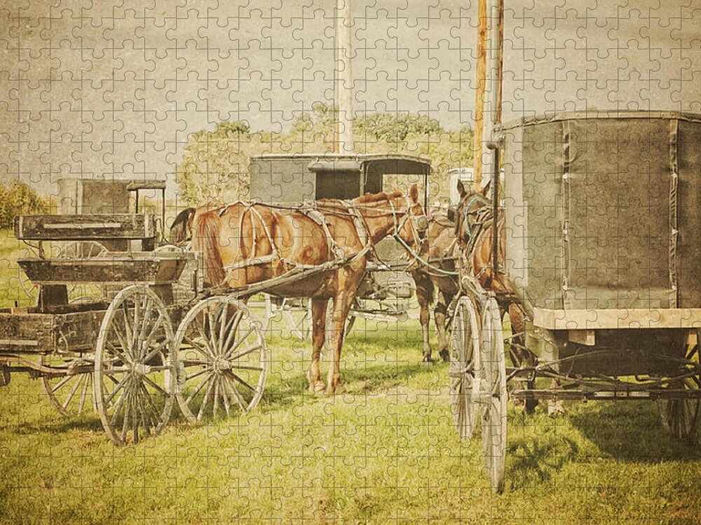 Amish Jigsaw Puzzle featuring the photograph Amish wagons by Al Mueller