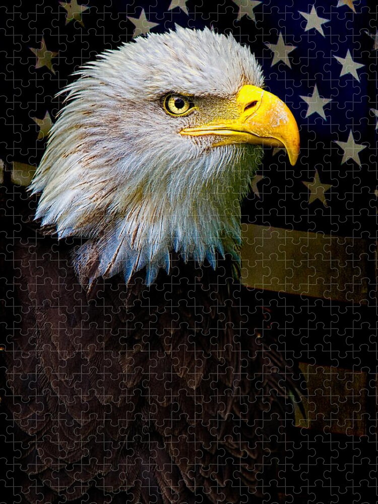 Eagle Jigsaw Puzzle featuring the photograph An American Icon by Chris Lord