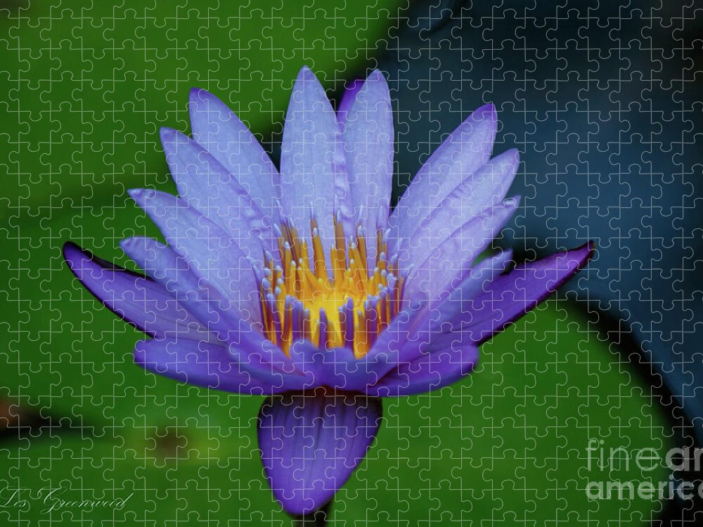 Flower Jigsaw Puzzle featuring the photograph An Awakening by Les Greenwood