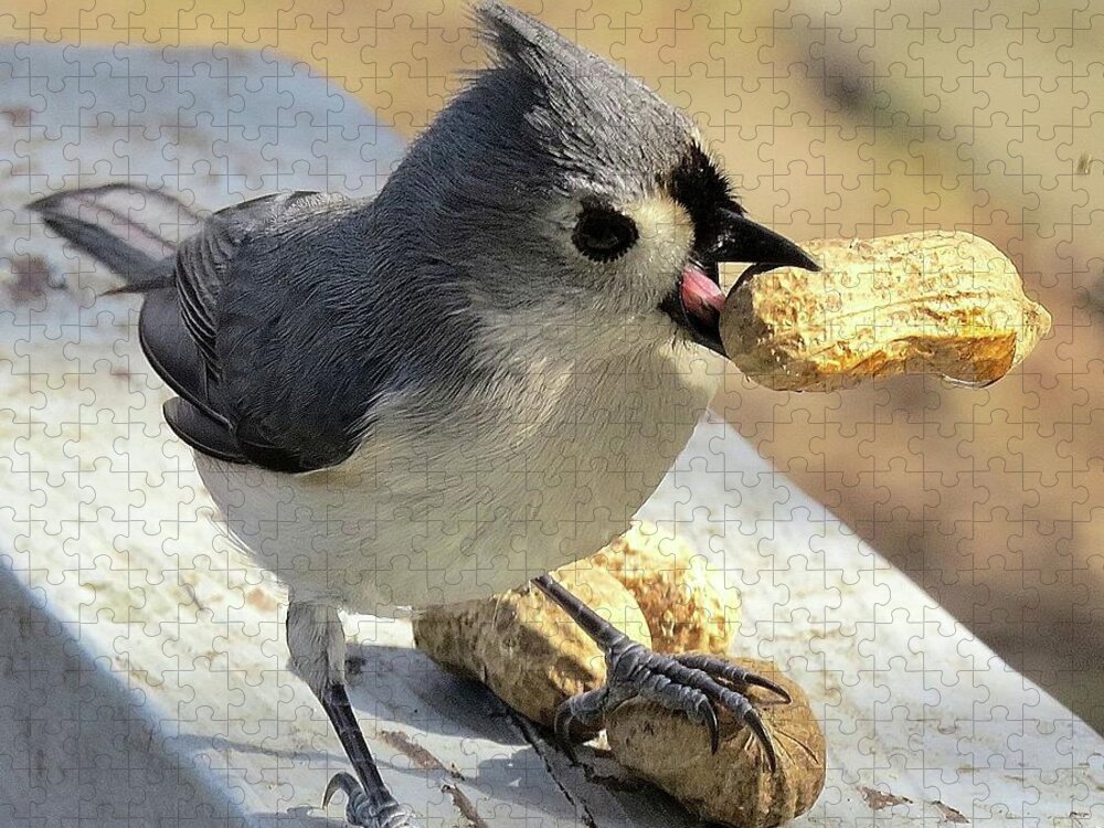 Tufted Titmouse Jigsaw Puzzle featuring the photograph And I'll Save This One for Later by Linda Stern