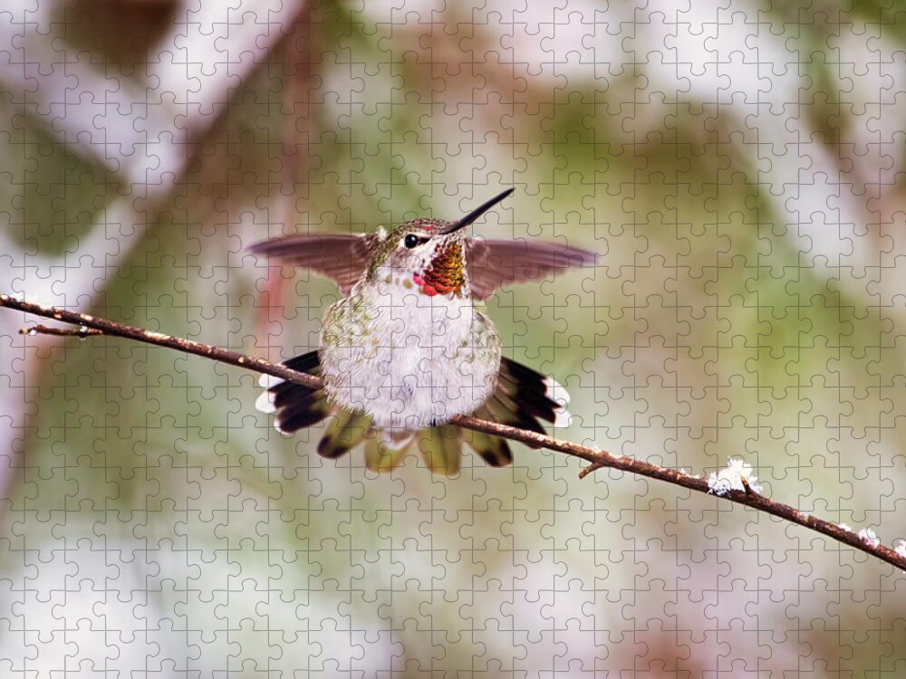 Hummingbird Jigsaw Puzzle featuring the photograph Angel Wings by Peggy Collins