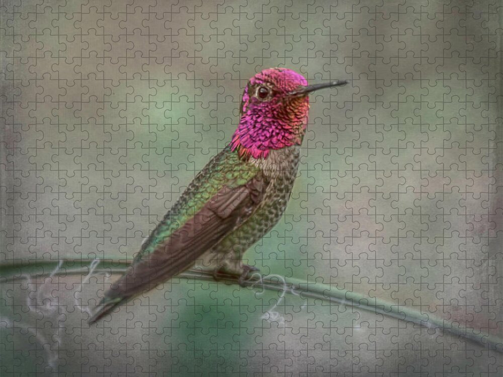 Hummingbird Jigsaw Puzzle featuring the digital art Anna's Hummingbird 5024 by Teresa Wilson